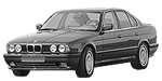 BMW E34 P25B5 Fault Code